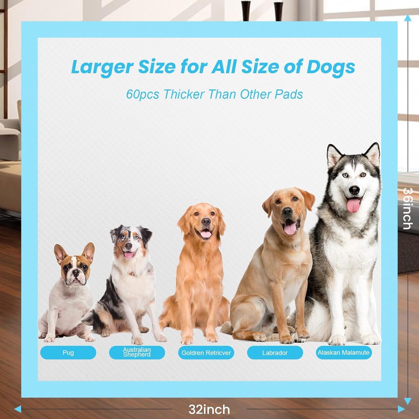 60 Count Dog Pee Pads 32"X 36",Extra Large Disposable Dog Training Pads Quick Absorb Doggie Pads for House Training Cats Rabbits Dogs Leak-Proof Pet Pads