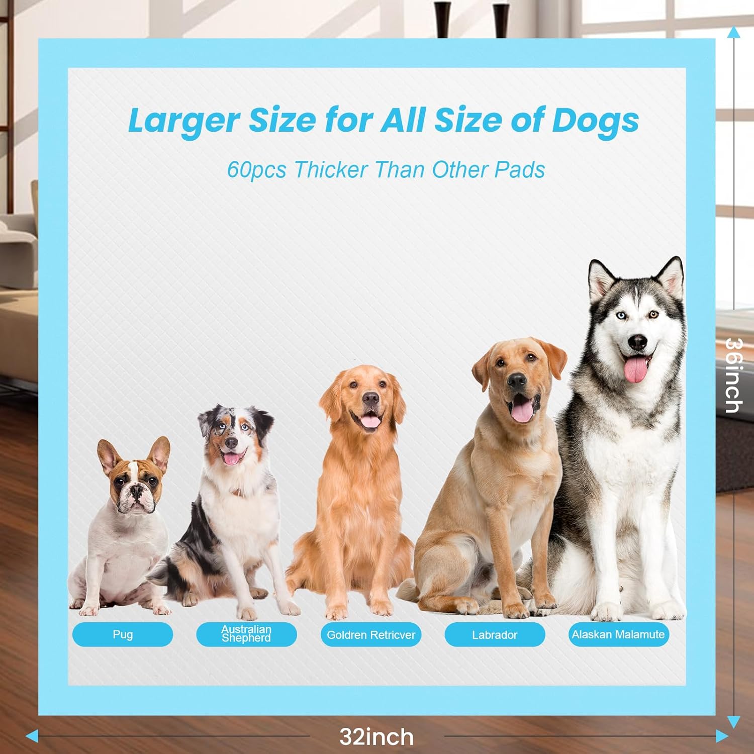 60 Count Dog Pee Pads 32"X 36",Extra Large Disposable Dog Training Pads Quick Absorb Doggie Pads for House Training Cats Rabbits Dogs Leak-Proof Pet Pads